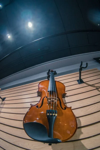 Mağazanın duvarında yeni bir keman