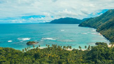 Cennet 'teki Karayip plajında palmiye ağaçları var.