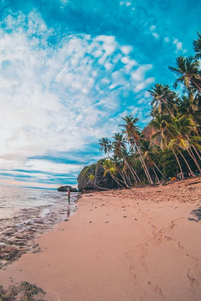 Cennet 'teki Karayip plajında palmiye ağaçları var.