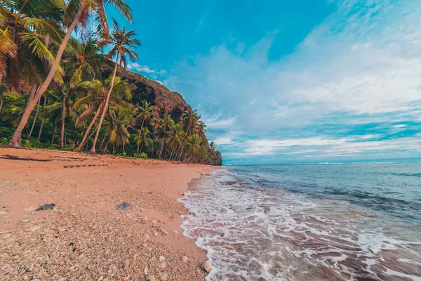 Cennet 'teki Karayip plajında palmiye ağaçları var.