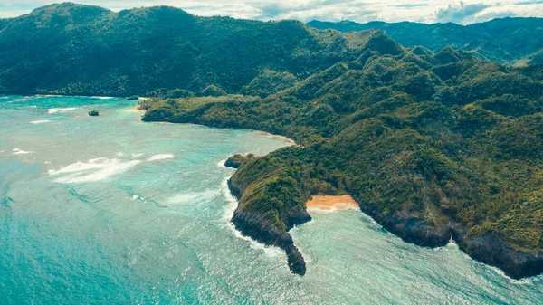Cennet 'teki Karayip plajında palmiye ağaçları var.