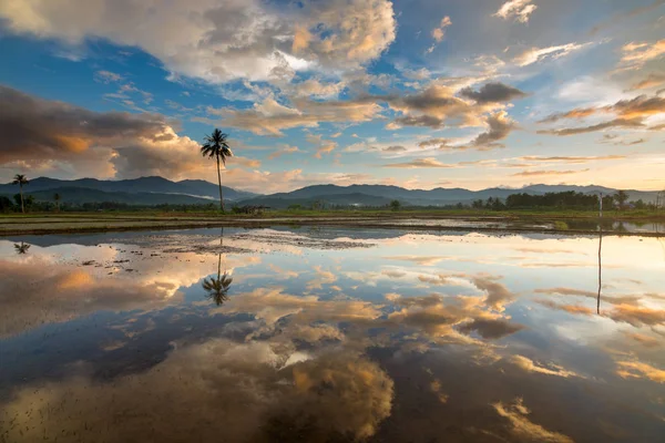 Dramatisk Solnedgång Reflektion Kota Marudu Sabah Malaysia — Stockfoto