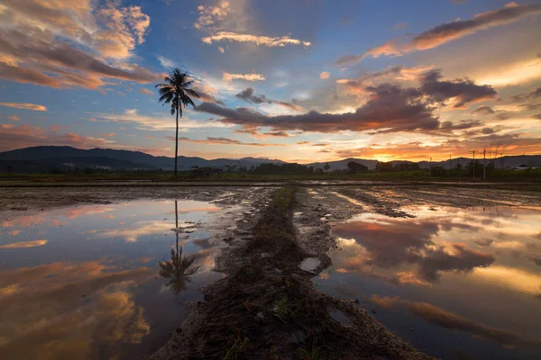 Drammatico Riflesso Del Tramonto Kota Marudu Sabah Malesia — Foto Stock