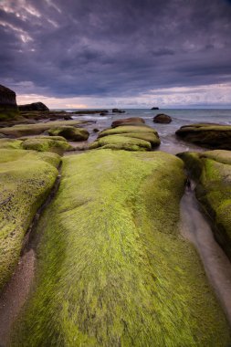 Tindakon Beach, kudat, sabah, Doğu Malezya kasvetli havalarda yeşil yosun ile kayalar