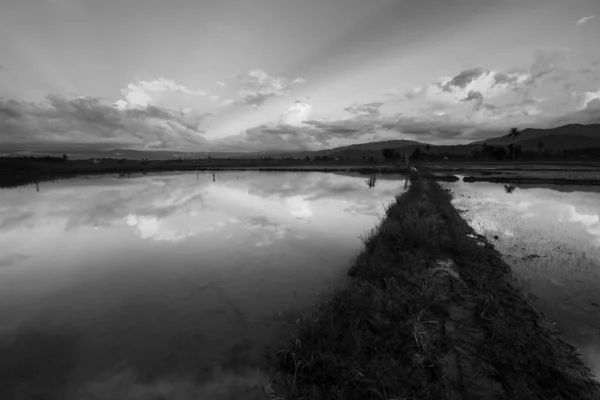 Schöne Reflexion Der Wolken Einer Ländlichen Gegend Schwarz Weiß Kota — Stockfoto