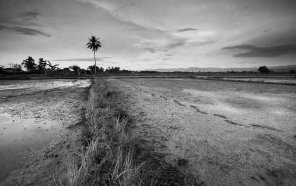 Lantligt Landskap Svart Och Vitt Kota Marudu Sabah Östra Malaysia — Stockfoto