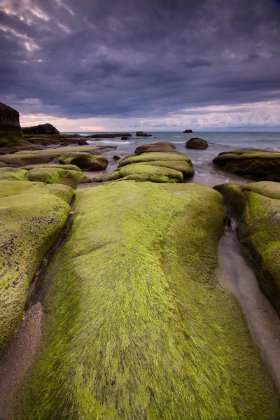 ティンダコンビーチ クダット 東マレーシアの暗い天候に緑の苔を持つ岩 — ストック写真
