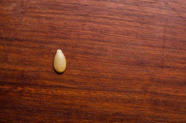single pumpkin seed on a dark wood surface clipart
