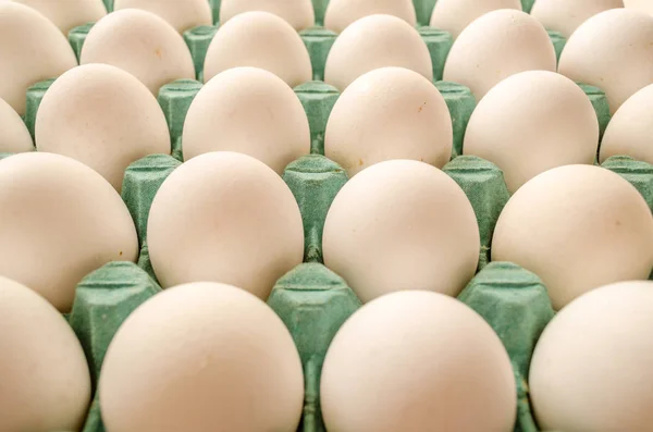 white eggs arranged together in a green egg carton