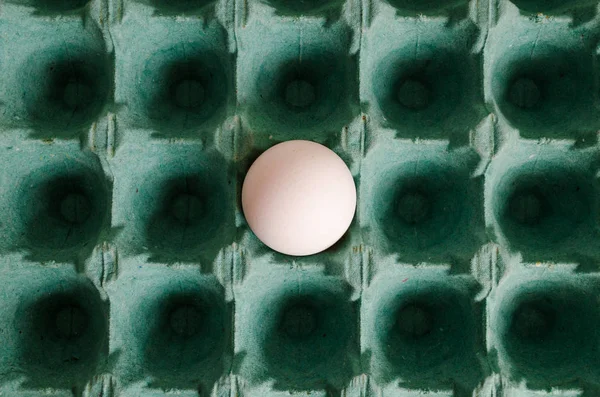 a white egg arranged in the center of a green egg carton.