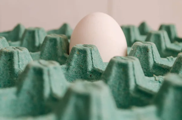 a white egg in an empty green egg carton in a macro side view.