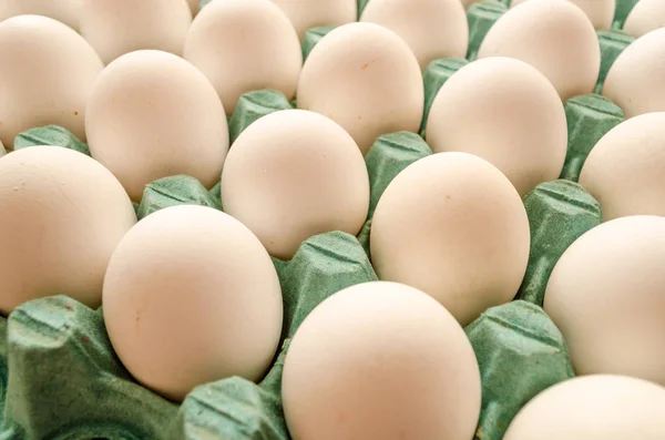 Witte Eieren Samen Gerangschikt Een Groene Eierdoos — Stockfoto