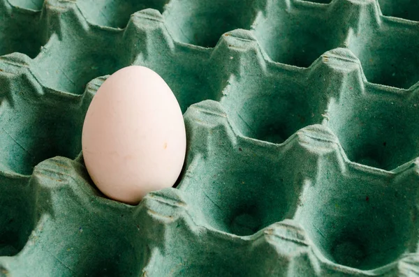 a white egg in an empty green egg carton.