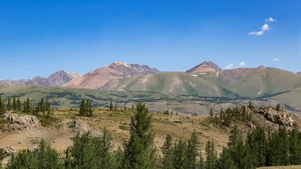 Mountain landscape with trees in the foreground. Gorny Altai, Russia