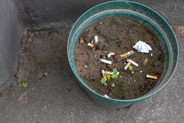 Plastik kum çiçek pot outide tar üzerinde sigara tomurcukları bir yeşil yuvarlak 