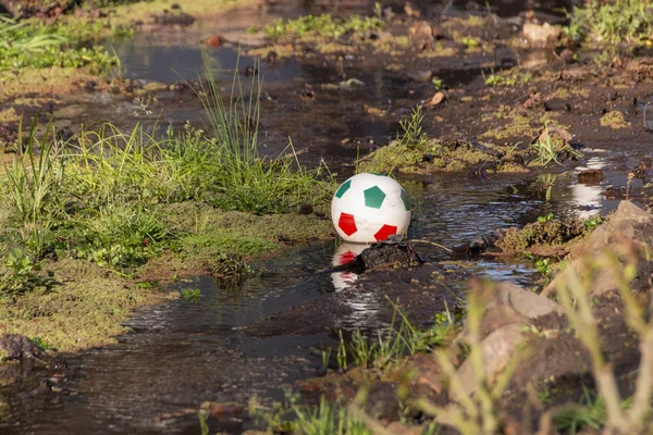 A close up of a red and blue ball stuck in a flowing river