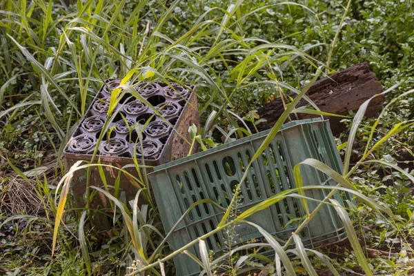 Two Green Plastic Crates Long Green Grass Growing Though Next — Stock Photo, Image