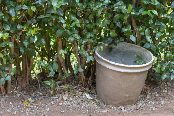 Large Empty Grey Metal Rusted Pot Next Green Hedge Garden — Stock Photo, Image
