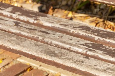 Görünümü uyar eski çift kadar yakın bahçe sandalye ahşap slates ve bir parkta kaldırım üzerinde beton taraf ile oturmuş 