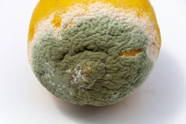 Close View Green White Mould Side Rotting Lemon Isolated White — Stock Photo, Image