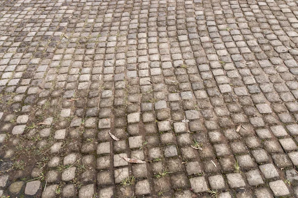 Vue Rapprochée Petit Pavage Inégal Béton Carré Sur Une Allée — Photo