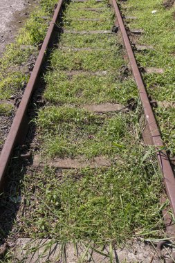 Orta ve kenarlarında demiryolu hattı üzerinde çim nerede büyüdü bir demiryolu hattı yakın bir görünümü 