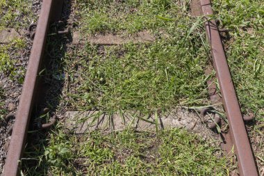 Orta ve kenarlarında demiryolu hattı üzerinde çim nerede büyüdü bir demiryolu hattı yakın bir görünümü 