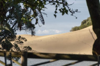 Yine de ağaçlar nehrin diğer tarafında alınan plaj kum bankalar 