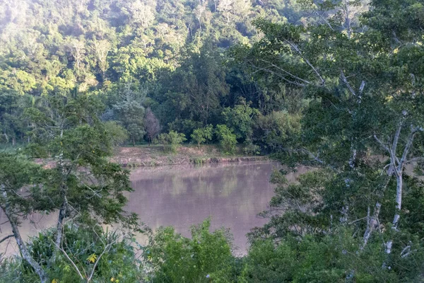 Birkaç ağaç ormanı Nehri'nin 