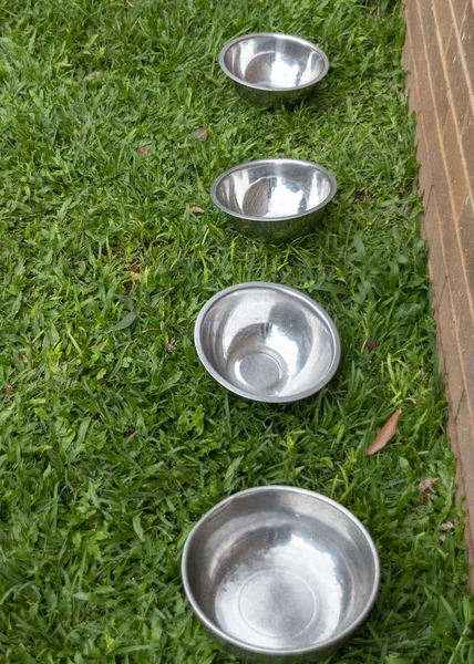 Close Uop View Four Silver Metal Bowls Line Grass Garden — Stock Photo, Image