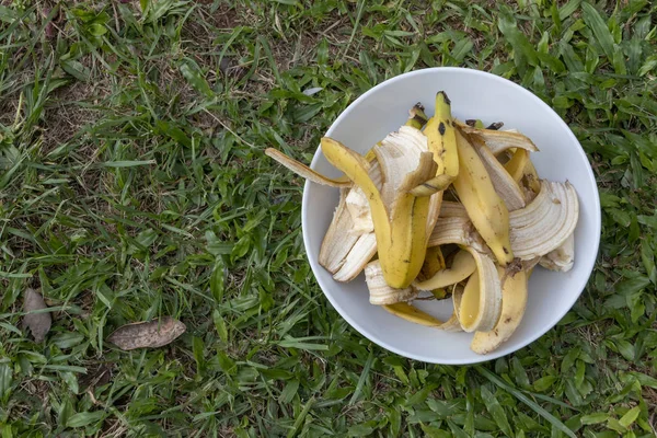 Muz kabukları Bir Tabak 