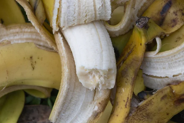 A Pile of Bananas — Stock Photo, Image
