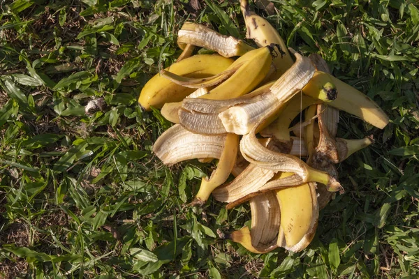 A Pile of Bananas — Stock Photo, Image