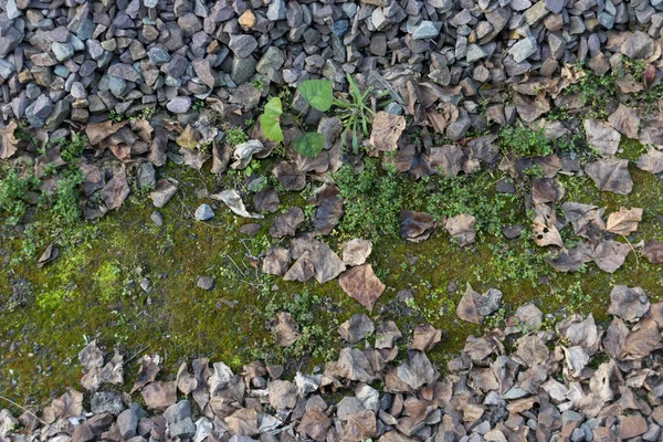 線路間の石のクローズアップビュー — ストック写真