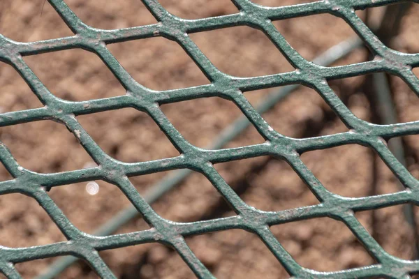 Green Metal Mesh — Stock Photo, Image