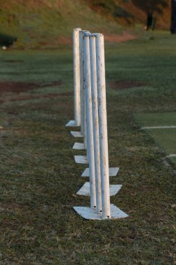 Crickert Wickets 