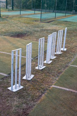 Crickert Wickets 