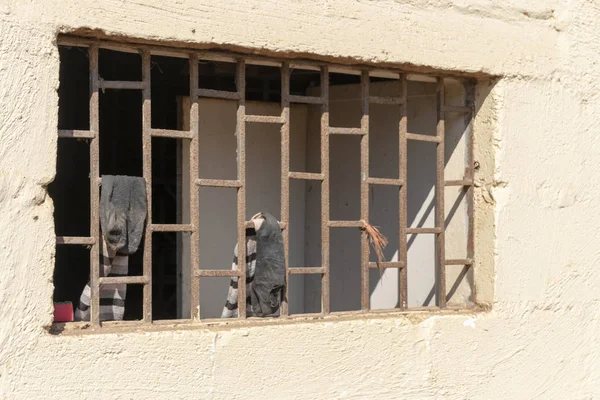 Gitterstäbe an einem offenen Fenster — Stockfoto
