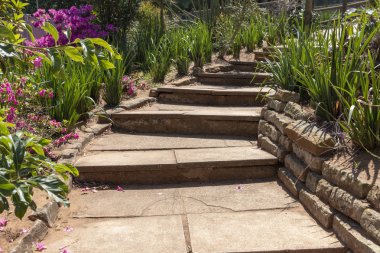 Açık bir bahçede başka bir seviyeye çıkan beton merdivenlerin yakın görüntüsü. 