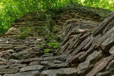 Açık bir ormanı çevreleyen taş bir duvarın yakın görüntüsü. 