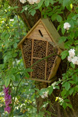 Böcekleri ve böcekleri yuva yapmaya teşvik etmek için yapılmış bir böcek yuvasının yakın görüntüsü. 