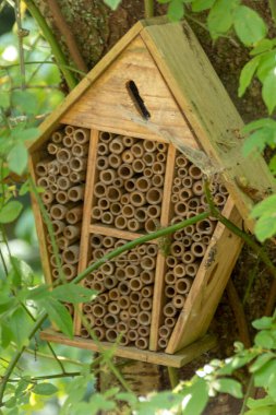 Böcekleri ve böcekleri yuva yapmaya teşvik etmek için yapılmış bir böcek yuvasının yakın görüntüsü. 
