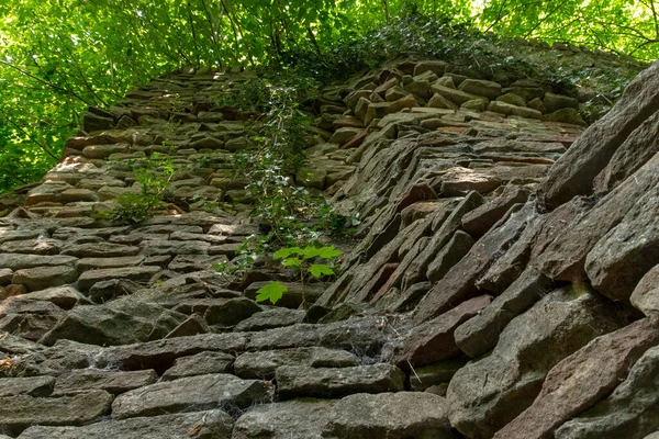Açık bir ormanı çevreleyen taş bir duvarın yakın görüntüsü. 