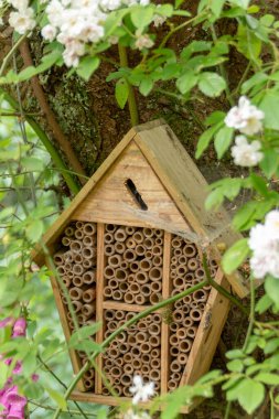 Böcekleri ve böcekleri yuva yapmaya teşvik etmek için yapılmış bir böcek yuvasının yakın görüntüsü. 