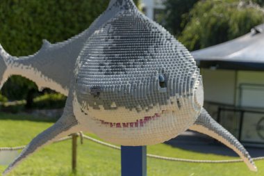 Bristol-August-2020-İngiltere Bristol Hayvanat Bahçesi 'nde legodan yapılmış büyük bir beyaz köpekbalığı. 