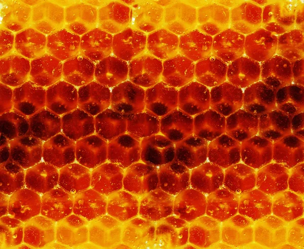 Textúra Méhsejt Élénksárga Háttér Méz Sejtek — Stock Fotó