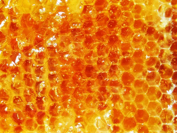 Texture Honeycomb Bright Yellow Background Honey Cells — Stock Photo, Image