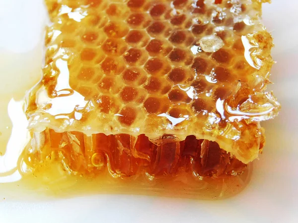 Honeycomb Bit Makro — Stockfoto