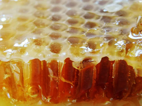 Honeycomb Bit Makro Skott — Stockfoto