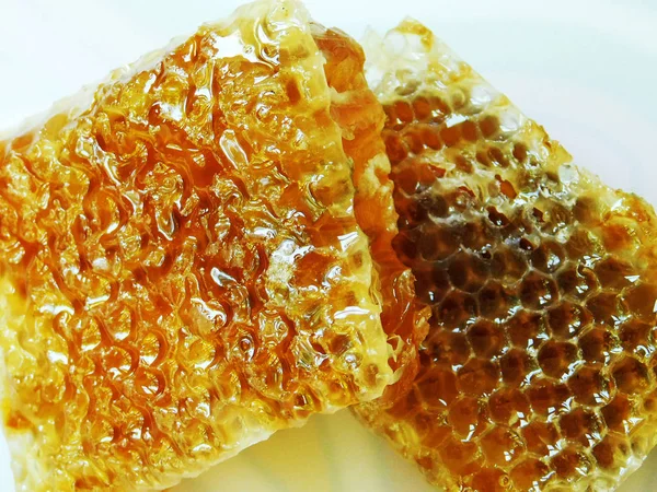 Honeycomb Pieces Close — Stock Photo, Image